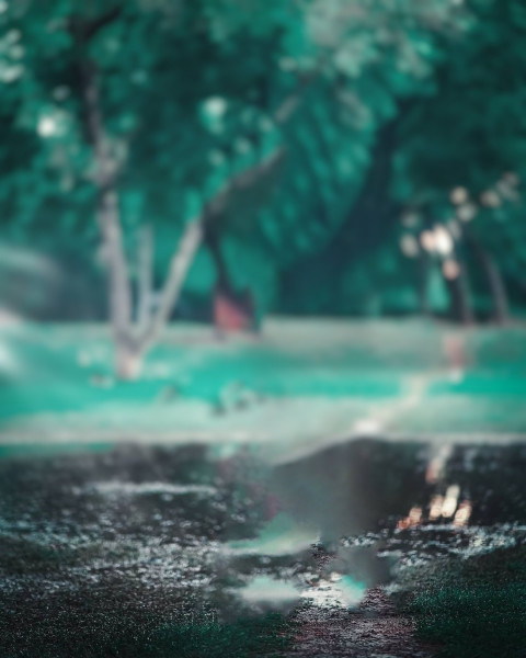 Blur Forest Taukeer Editz Background Free Download