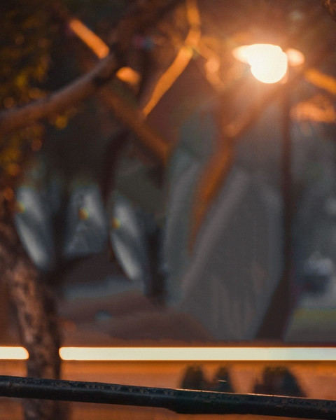 Blur Forest Taukeer Editz Background Free Download