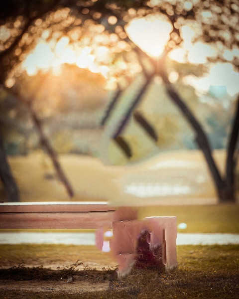 Blur Forest Taukeer Editz Background Free Download