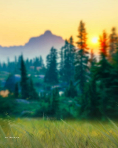 Blur Forset Picsart Editing Background Full HD Download