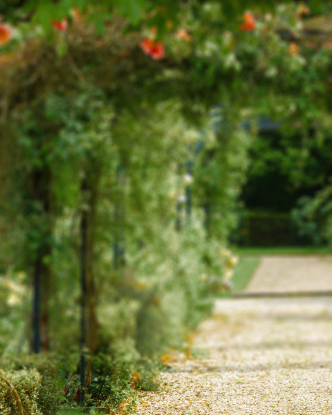 Blur Garden Photo Editing Background Download Free