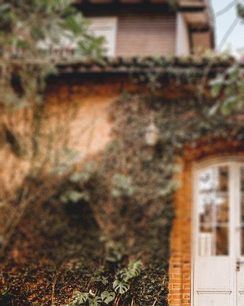 Blur Garden Photo Editing Background Download HD