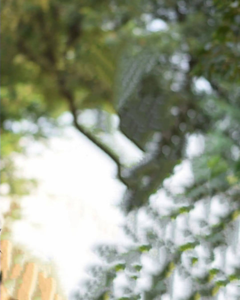 Blur Instagram viral Photo Editing HD Background