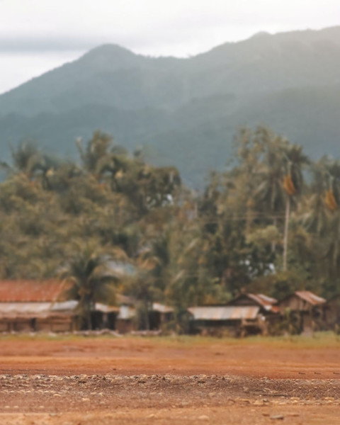 Blur Mountain And Tree Creative Background Free Editing CB Images Download