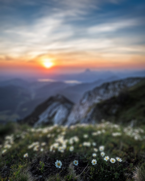 Blur Natue Photo Editing Cb Background download