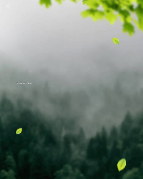 Blur Nature BAckground For Picart editing