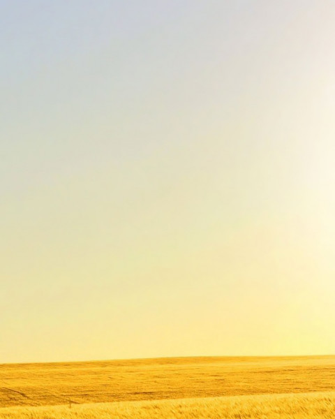 Blur Nature Photo Editing Background Download Free