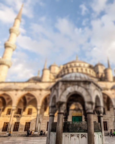 Blur Nature Photo Editing Background Download New