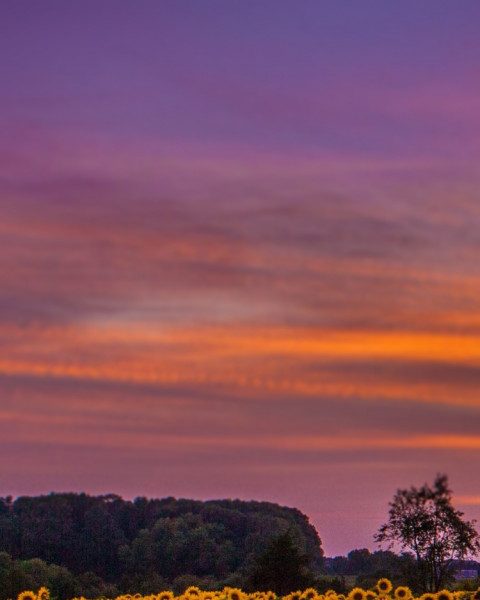 Blur Nature Photo Editing Background For Photoshop Photos