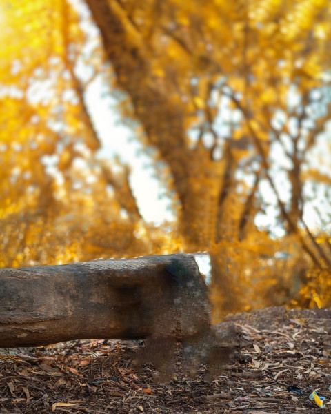 Blur Nature Photo Editing Background Taukeer Editz