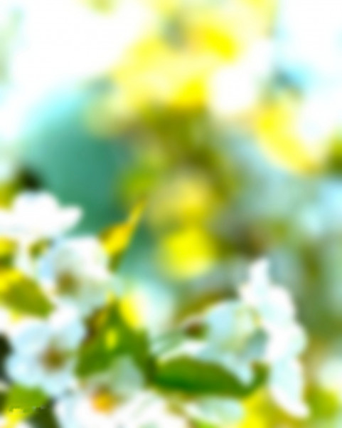 Blur New Photo Editing CB Background Download