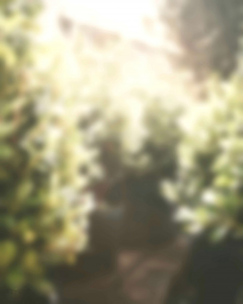Blur New Photo Editing CB Background Download Img