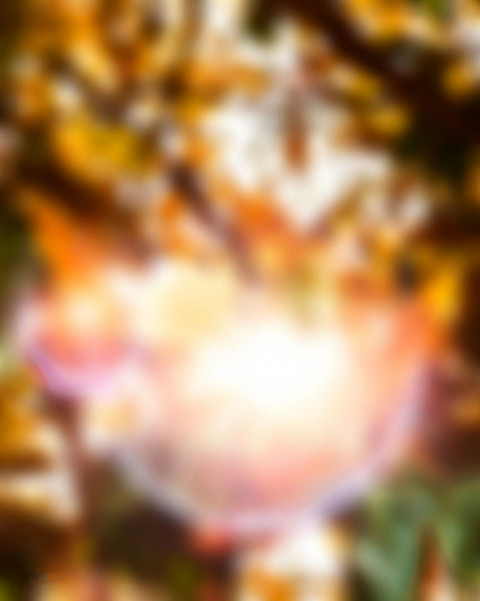 Blur New Photo Editing CB Background Download Pic