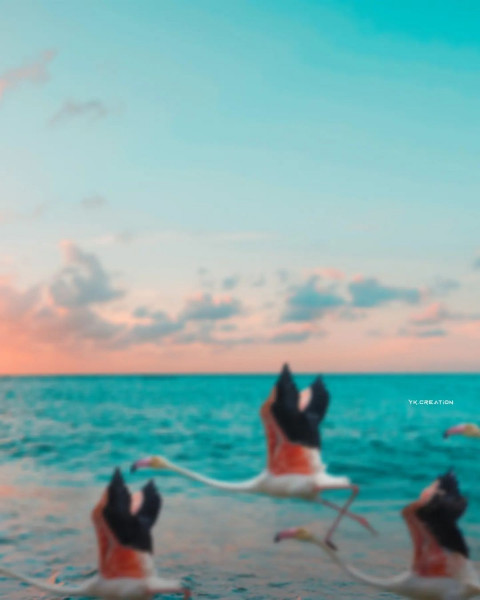 Blur New Photo Editing PicsArt Background Full HD
