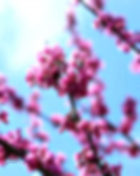 Blur Photo Editing CB Background Download Pis