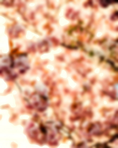 Blur Photo Editing HD Background For PicsArt