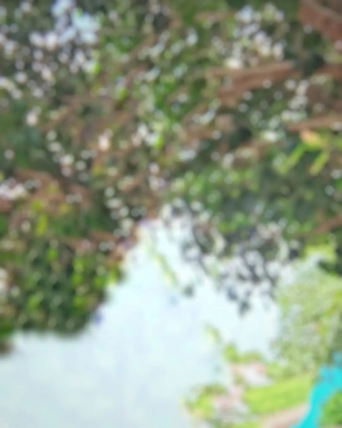 Blur Photoshop CB EDiting New Background Download Full HD
