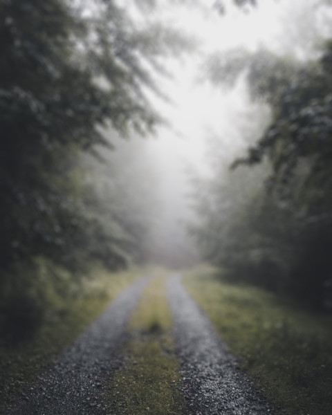 Blur Road Nature CB Picsart Editing Background HD