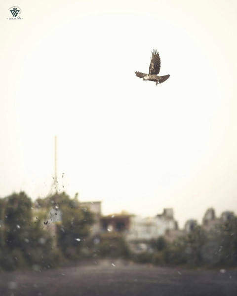 Blur Sky Cb Background Full HD Download