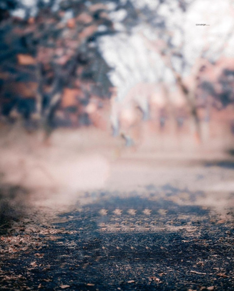 Blur Snapseed New Background for CB Picsart Photo Editing