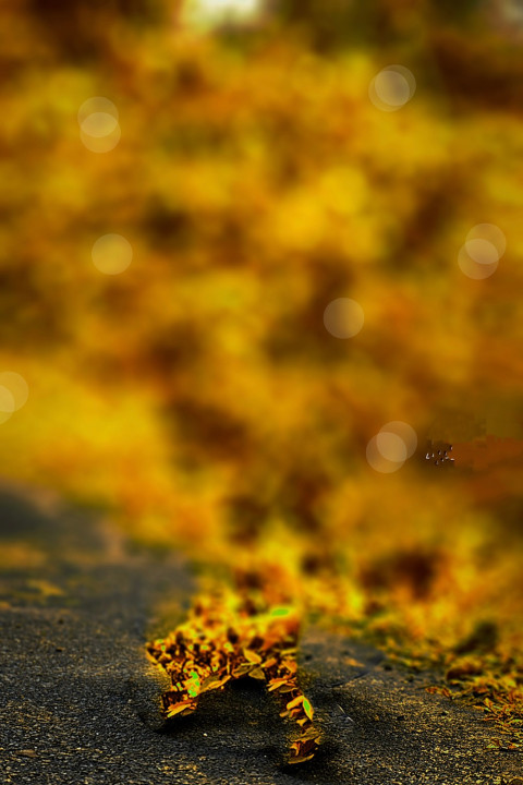 Blurred CB Background Photoshop For RD Debu Photo Editing