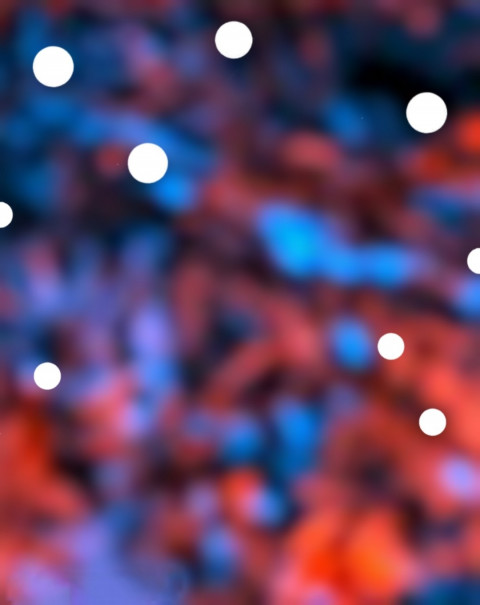 Bokeh CB Background New Background For Editing