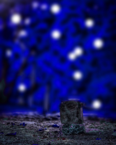 Bokeh Photoshop CB EDiting New Background Download Full HD