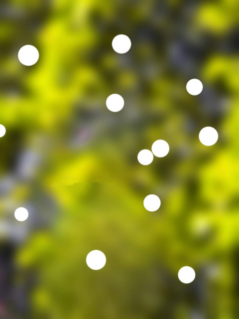 Bokeh PicsArt Background New Full HD Download For Editing