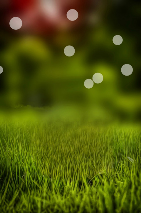 Bokeh PicsArt New Backgrounds Download For Photo Editing