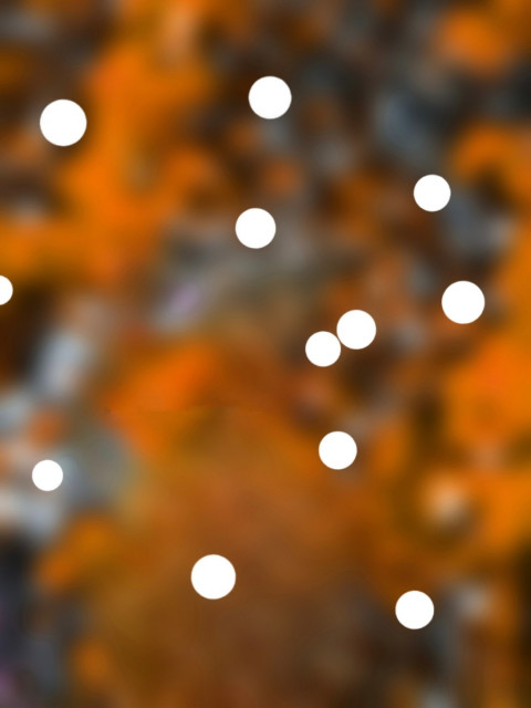 Bokeh PicsArt Photo Editing New Background Download Full HD