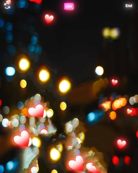 Bookeh CB Edit Background For Editing