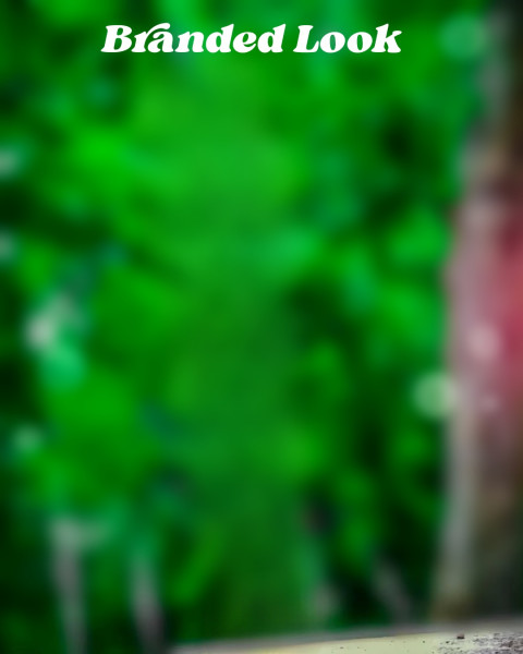 Branded Look Photo Editing Green Background Hd Free