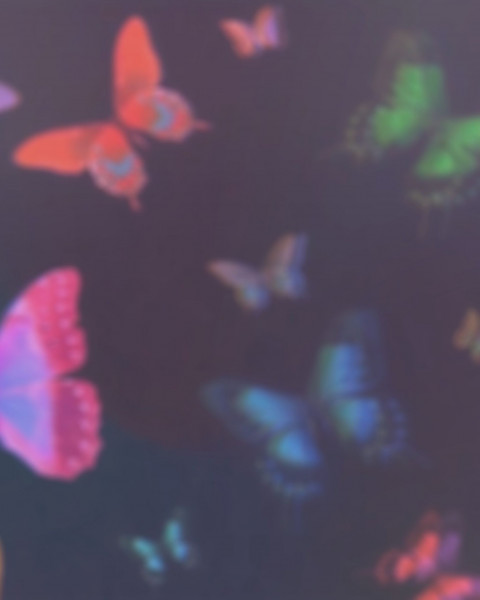 Butterflay CB Editing Full HD Background Download