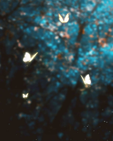 Butterflay Picsart Background For photo Editing
