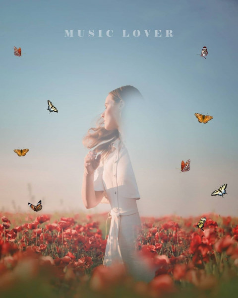 Butterflay Picsart New Background For 4k HD Quality