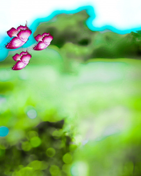 Butterfly CB Editing Photoshop Background Full HD Download