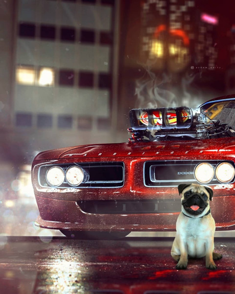 Car With Dog Background For Picsart Cb Editing
