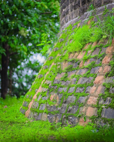 Cb Background HD For Snapseed Photo Editing