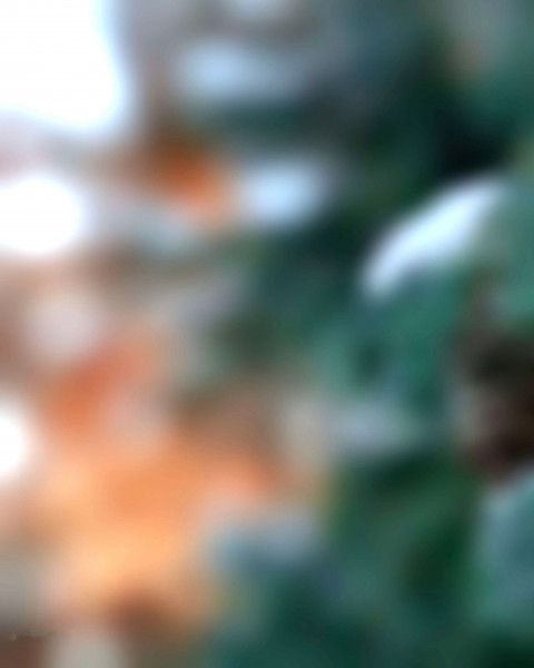 CB Blur Editing Nature Background Full HD Download