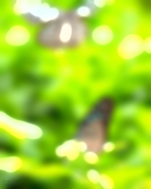 CB Blur Editing Nature Background HD Download