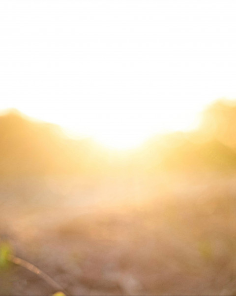 CB Blur Editing Nature Sunlight Background HD Download