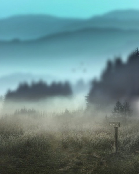 CB Editing Background Download For Picsart