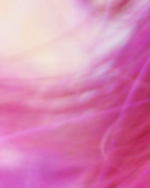 CB Holi Photoshop Editing Background Full HD Download