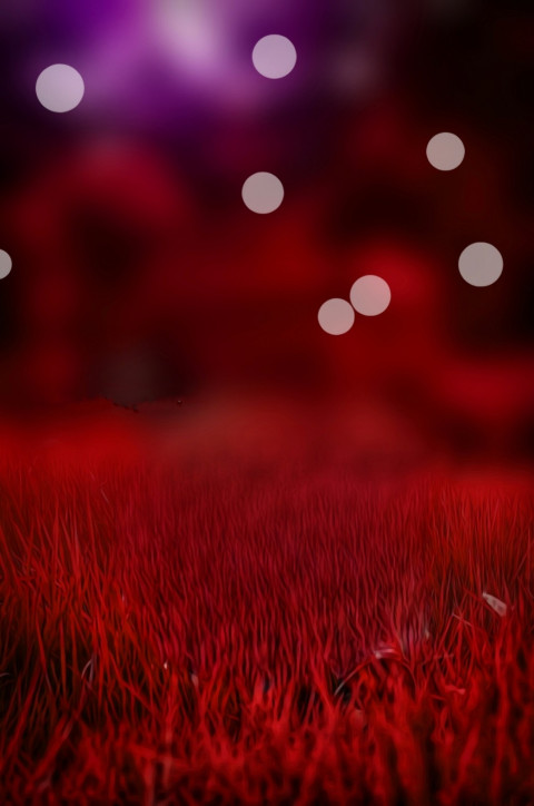 CB New Bokeh  Editing Background HD Download For Photoshop