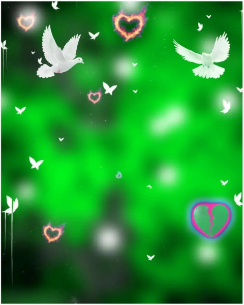 CB New Editing Birds Background HD Download For Photoshop