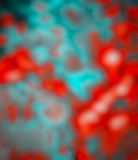 CB Photo Editing Background For Picsart HD