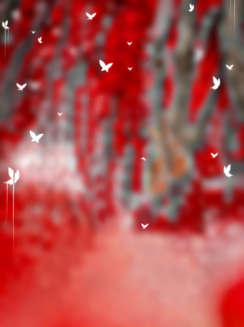 CB Photoshop Birds Background Full HD Download Free