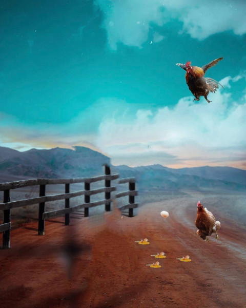 Cock Instagram Viral Picsart Photo Editing Background