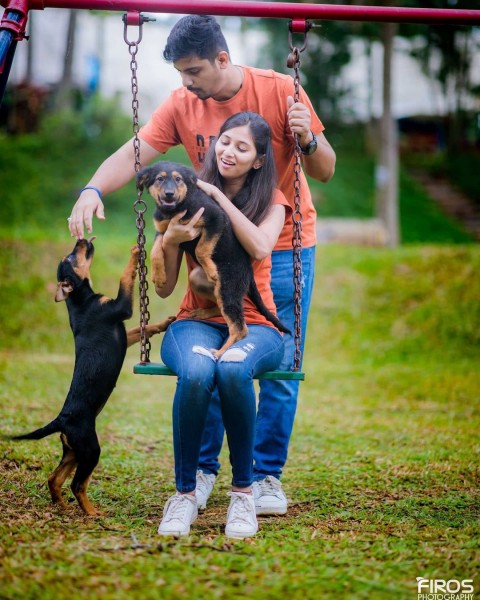 Couple Photoshoot wallpaper Hd With Dog | Image Free Download