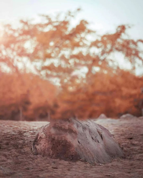 Creative Editing HD Background Download Images